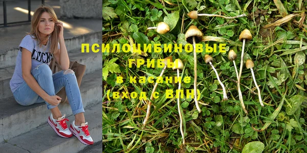 спайс Дмитровск