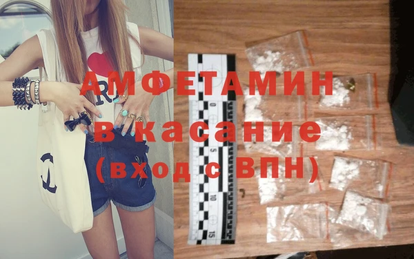 прущие грибы Ступино