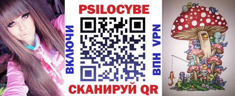 Купить закладки  Славск  Псилоцибиновые грибы ЛСД 